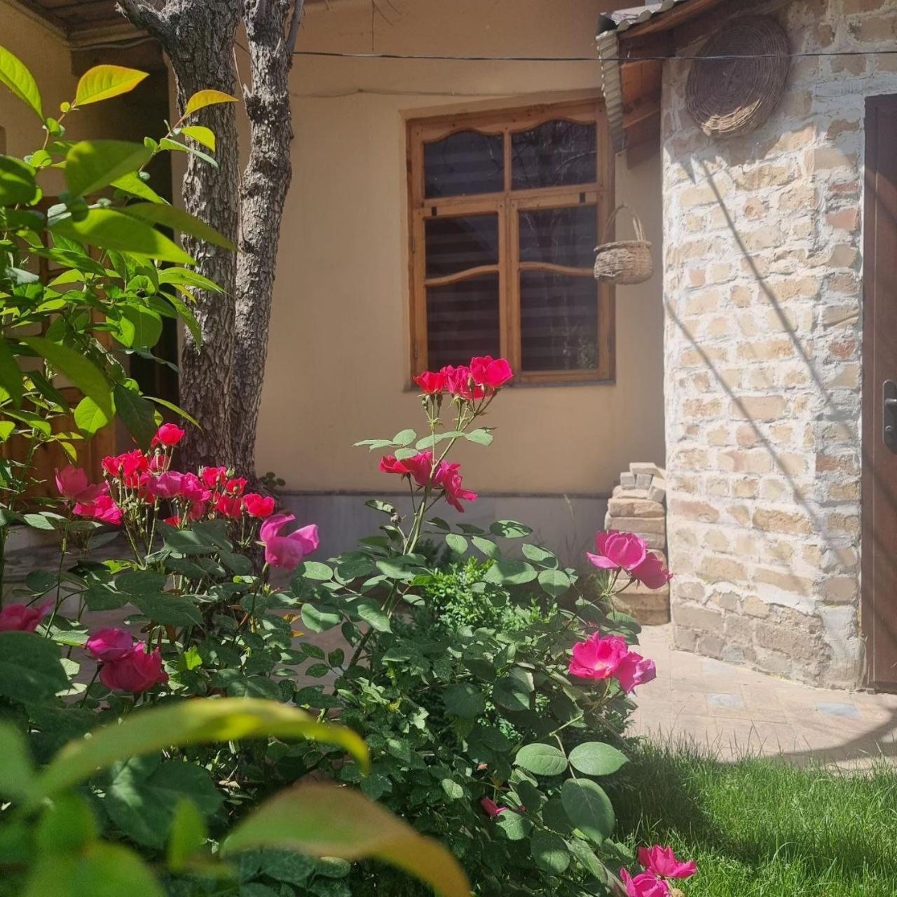 Sim-Sim Hostel & Backpackers 撒马尔罕 外观 照片