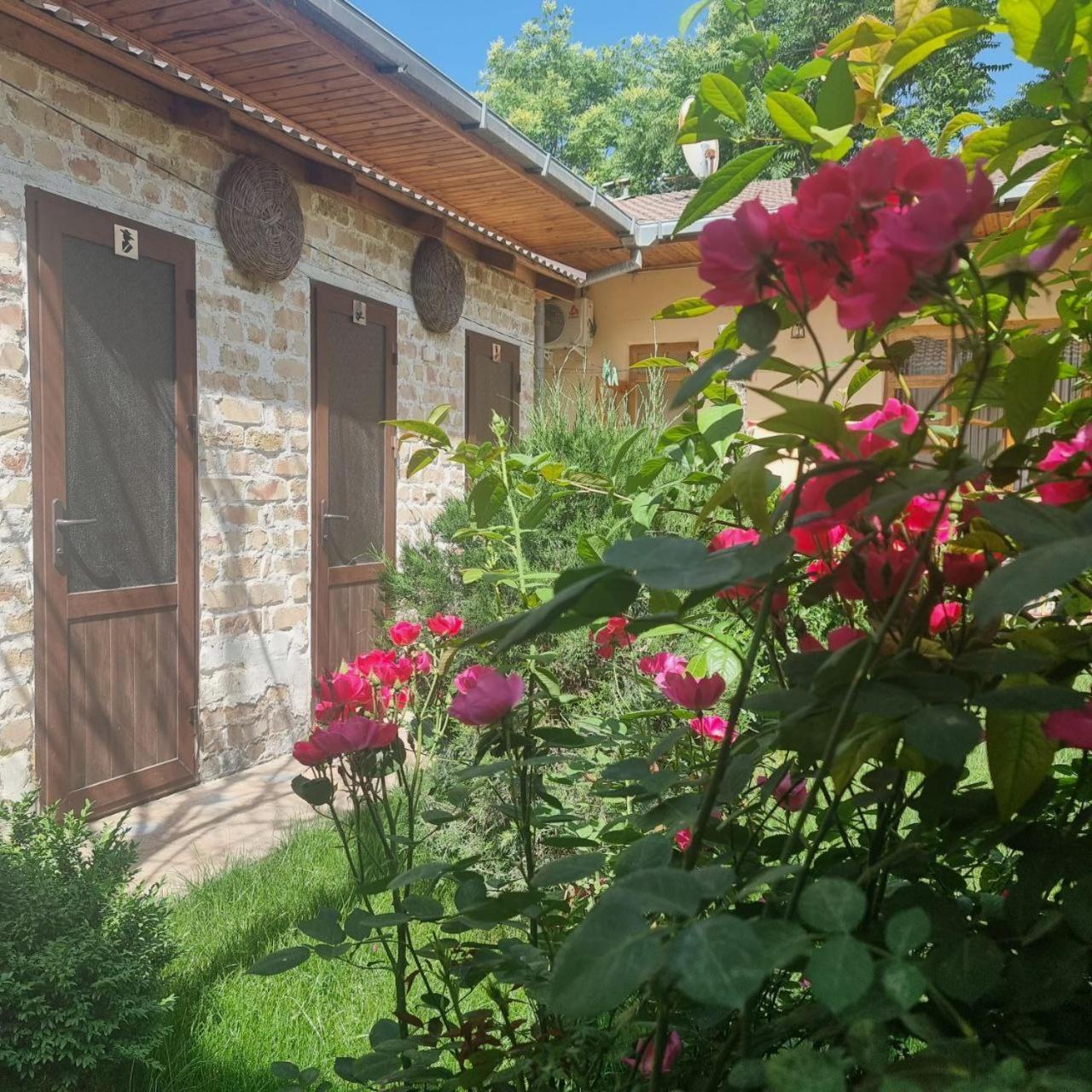 Sim-Sim Hostel & Backpackers 撒马尔罕 外观 照片